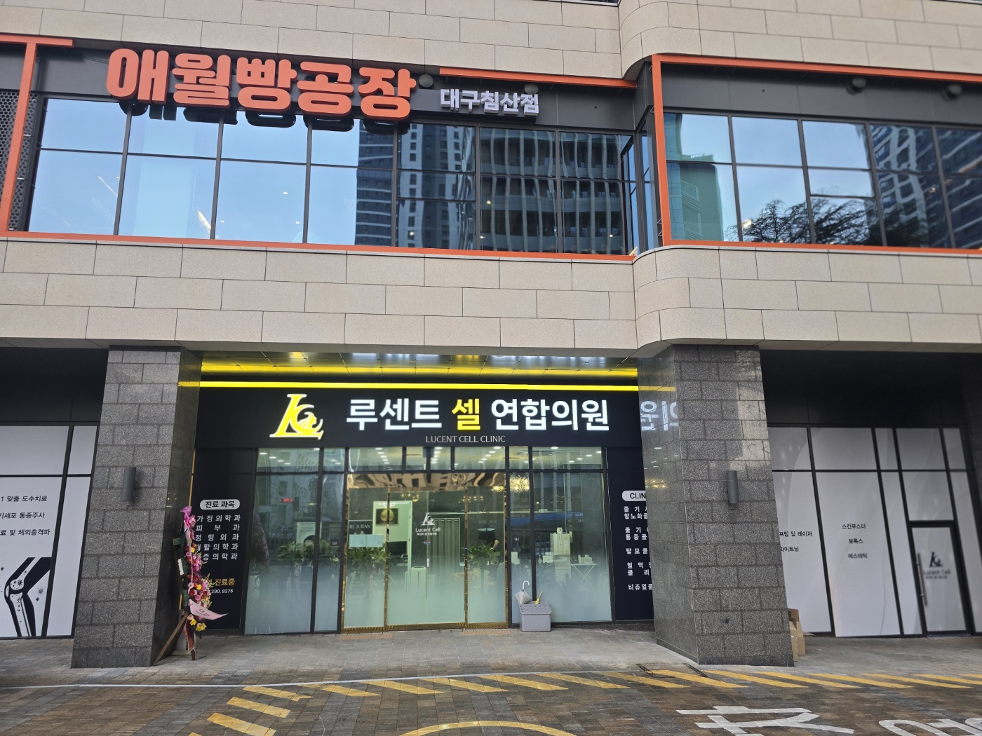 루센트 셀 연합의원 검사 장비